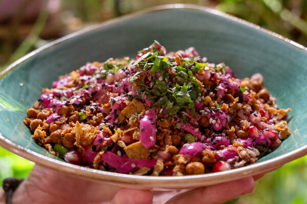 dream pink bowl wanderlust